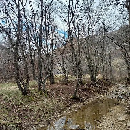 Kuca Za Odmor Vucipolje Tatil Evi